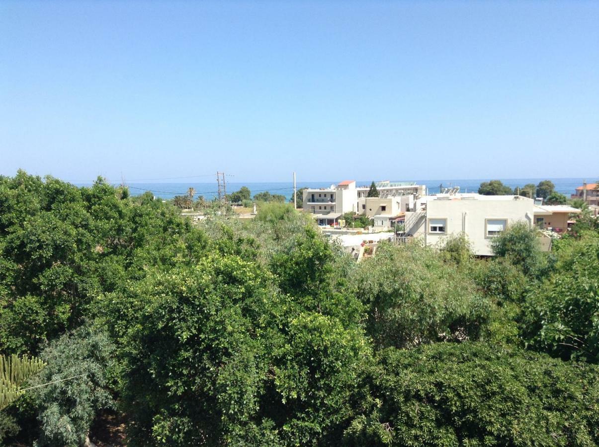 Arokaria Holiday Houses Platanias Extérieur photo
